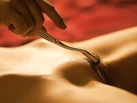 Bodyscape Nu"