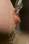 Bodyscape Nu"