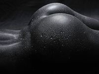 Bodyscape Nu"