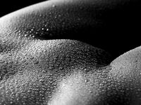 Bodyscape Nu"