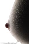 Bodyscape Nu"