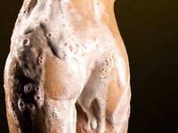 Bodyscape Nu"