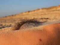 Bodyscape Nu"