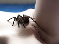 Bodyscape Nu"