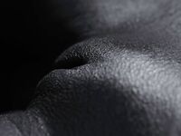 Bodyscape Nu"
