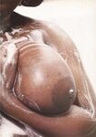 Busty Girls ollection)