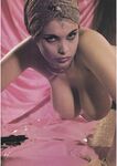 Busty Girls ollection)