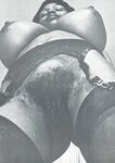 Busty Girls ollection)