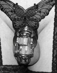 Fem-Sluts hastity Devices