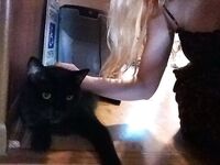 Goddess Kitten