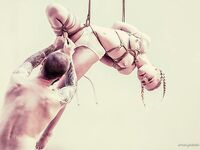Myfaerielove
