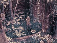 Myfaerielove