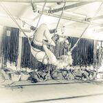 Myfaerielove