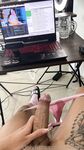 Pamela Ferrer @veenus