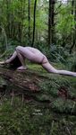 reddit user NakedMossFairy
