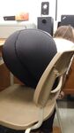 Thicc Girls