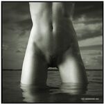 Vagina Perfection