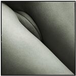 Vagina Perfection