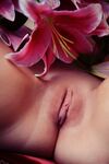 Vagina Perfection