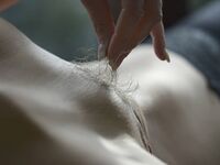 Vagina Perfection