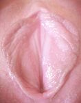 Vagina Perfection
