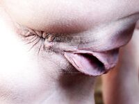 Vagina Perfection