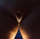 Vagina Perfection