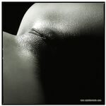 Vagina Perfection