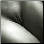 Vagina Perfection
