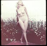 Vintage Model Lynne O'Neill