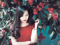 Wallpapers pack  pieces