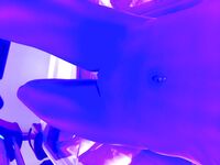 Whitney Johns Leaked