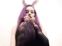 zzvioletzz