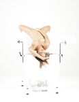 Flora - Gyno circus