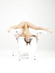 Flora - Gyno circus
