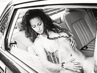 Saryda - Wild Cat