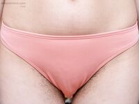 Calina - Glasses
