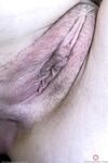 Meloni Moon - Babes Series  Softcore
