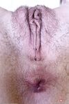 Meloni Moon - Babes Series  Softcore