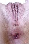 Meloni Moon - Babes Series  Softcore