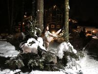 Kitsuna - Stretching in snow