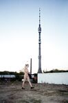 Elsa - Moscow TV Tower
