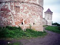 Veta - Refined Old russian town