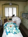 Czech Massage And Treatment Course