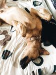 Lola Tessa