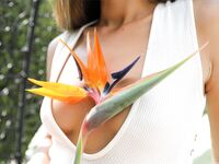 .. Karissa Diamond - Cyprus Swinger