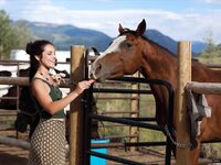 .. Elena Generi - Postcard from Crested Butte