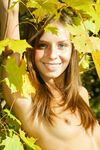 Tekla D - Leaves And Orange