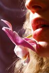 .. Olia - Bodyscape, Orchid