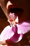 .. Olia - Bodyscape, Orchid
